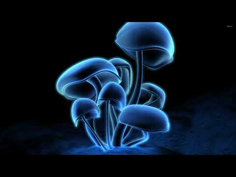 Dj StevO - Tribute To Zolod BOG aka Viktor Zolotarenko