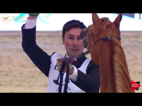 18 NOUWAYDRA AL ZOBAIR Dubai 2018