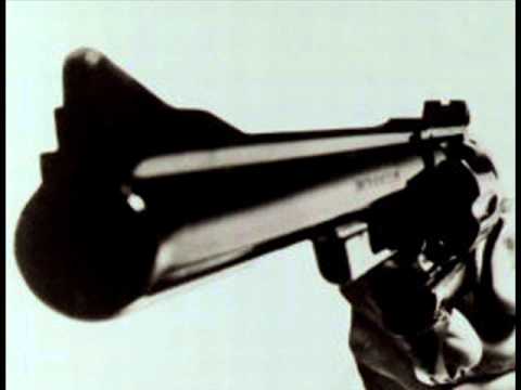 DJ Alligator   blow my whistle bitch