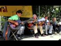 Bucky Pizzarelli Guitar Summit in Morristown