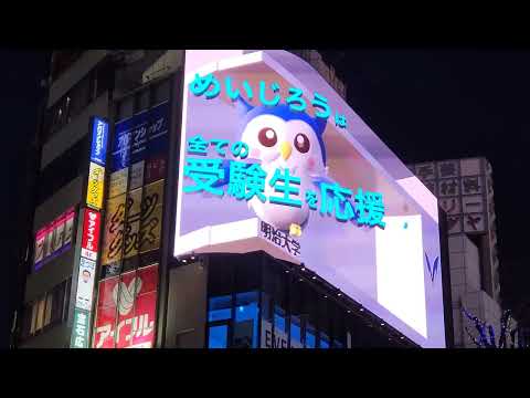 錯視映像で受験生を応援！"新宿巨大ネコ"の画面に学生制作のCG作品が再び登場！｜明治大学