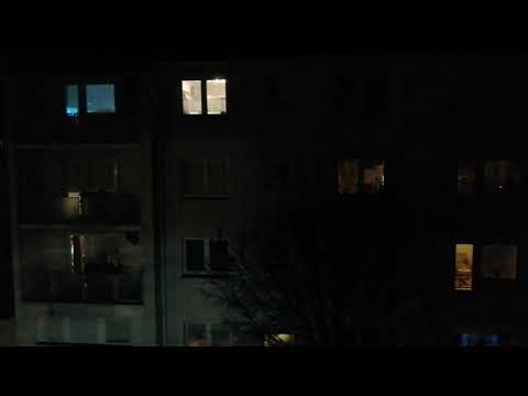 WSV-Fans wuppen das!