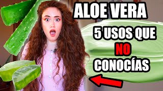 ALOE VERA 🌵 : ALUCINARÁS CON LO QUE HACE POR TU PELO 😲 Casero, Mercadona... PELO LARGO E HIDRATADO ✨
