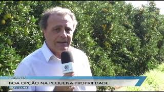 Miniatura do vídeo