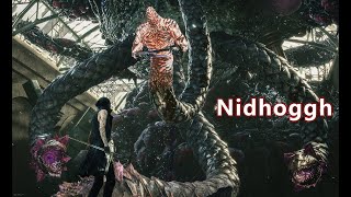 Devil May Cry 5 -  Nidhoggh Boss Fight