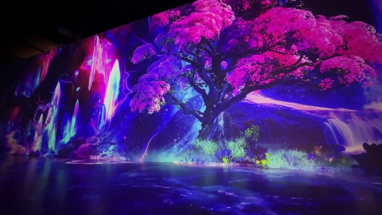매직 포레스트