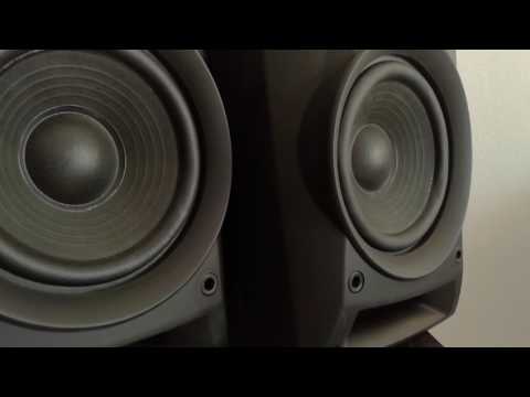 Lepy LP-2020A speaker driver vibes