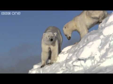 Quran Sabahudin Zeqiri Amazing 2011 HD