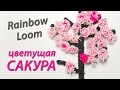 Цветущая Сакура (японская вишня) из Rainbow Loom Bands. Урок 59 