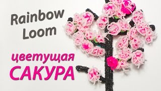 Как сплести цветущую сакуру из резинок - Видео онлайн