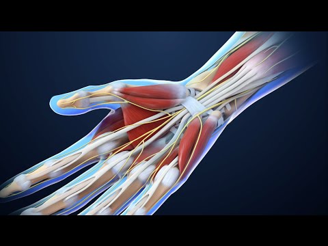 Carpal Tunnel Syndrome | Nucleus Health
