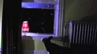 Built to Spill - Things Fall Apart