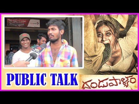 Dandupalyam 2 Movie Review/Public Talk | Telugu Movie 2017 | Sanjana | Pooja Gandhi