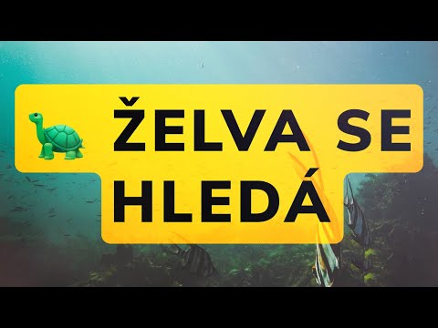 ???? Želva - Olympic live in Prague 1967 [1440p ???? REMASTERED]