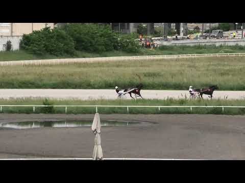 Trka "Jean-Pierre Dubois" 26.05.2019 Diva du Tijas - Jovica Ostojić