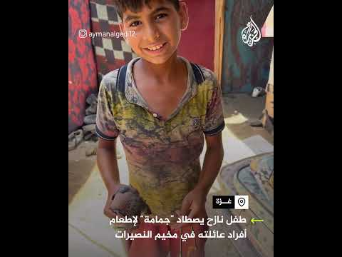 طفل نازح يصطاد "جمامة" لإطعام أفراد عائلته في مخيم النصيرات