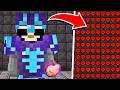 I Got The Most Hearts On The Lifesteal SMP