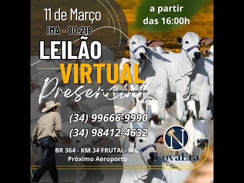 Leilão Virtual e Presencial Nova Era Leilões Frutal - 11/03/2024
