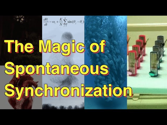 Video Pronunciation of synchronization in English