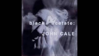 John Cale - blackAcetate (Full Album) (2005)