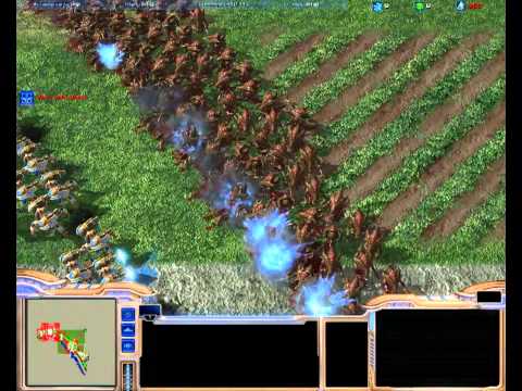 200 Immortal vs 800 Hydralisk