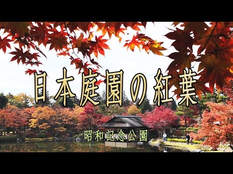 Parque Showa Kinen “Hojas de otoño en el jardín japonés”
