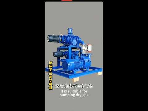 Liquid Ring Roots Vacuum Pump#Function Introduction#products  #introduction #knowledge #explanation