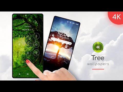 Trees Wallpapers in 4K
