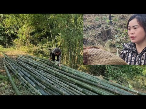 Full video of 180 days of a girl being kicked out of her house by her husband, building a new life.