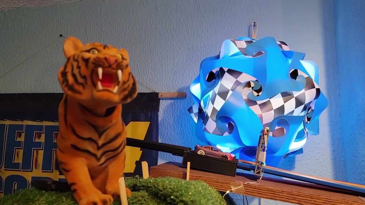 Race For Freedom 2022 Championship Race 🇺🇲👍😎🏁🏁🏁🐅