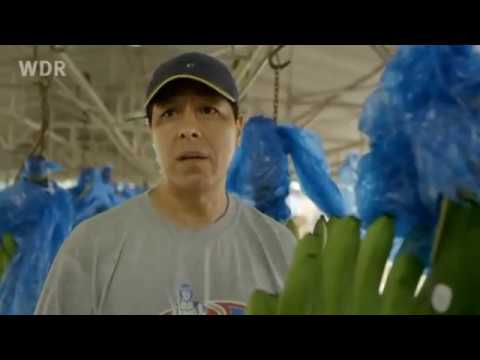 Billig. Billiger. Banane.  -  Ein Lebensmittel wird verramscht.