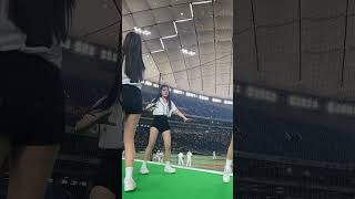 可愛すぎる台湾チア《台湾プロ野球 チアリーダー》アジアプロ野球チャンピオンシップ　台湾チア Team taiwan APBC2023  啦啦隊 東京ドーム《BraveTV》