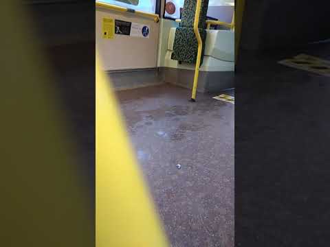 1 OUT OF 3 STALKERS STAGECOACH NEWCASTLE 12079 (NK11DJE)