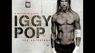 Iggy Pop- Search &amp; Destroy