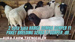 Download lagu TAK KAHAN CHEAP, DORPER SHEEP F1 2 JT, SUPER ECONOMICAL BREEDING PACKAGE COD SYSTEM❤️‍🔥❤️‍🔥 mp3