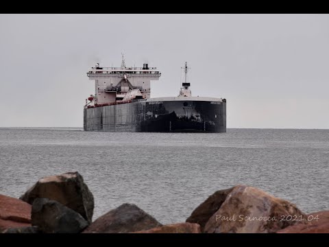 American Integrity Really startles that girl!  Arriving for their First load of ore from CN 042121