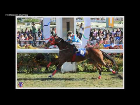 PHOTO GALLERY 2016 - RACE MEETING 15