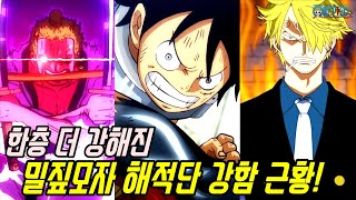 [원피스]무시할 수 없는 전력으로 성장한 루피 조로 상디