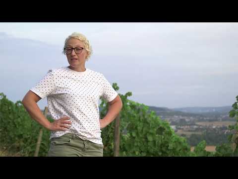 Silvaner Klassik Weißwein von Winzerin Ilonka Scheuring aus Maroggo am Main in Franken