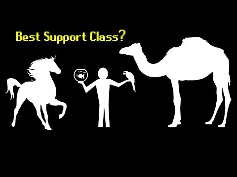 What's the Best Human Support Class?