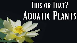 This or That? Aquatic Plants!
