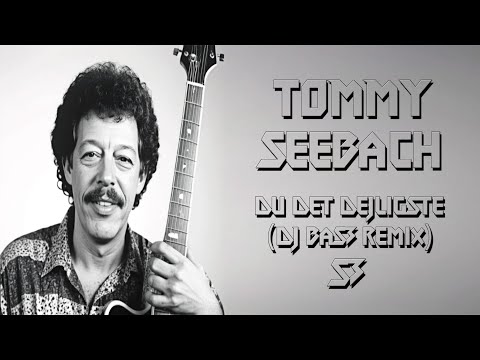 Tommy Seebach - Du Det Dejligste (DJ BaS3 Remix)