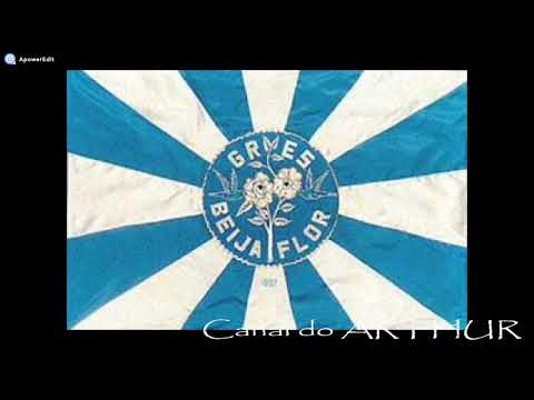 Samba Beija-Flor de Nilópolis plot 1980
