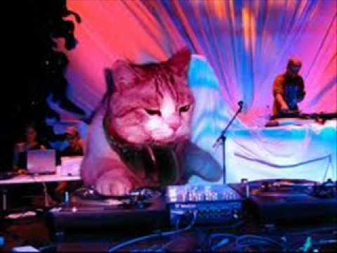 Catwork remix engineers empire of the sun