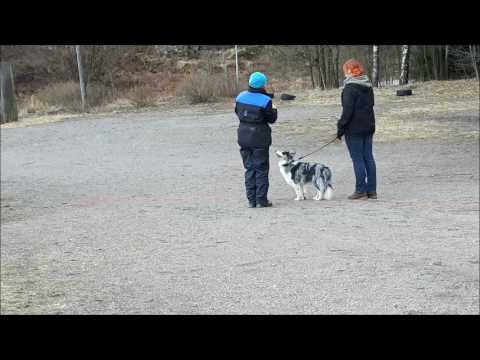 Pepperin luonnetesti  23.4.2017.