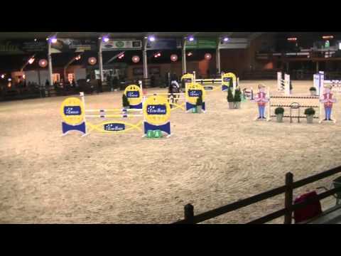 AMORE (Tampa x Calvados, 2005) CSI 1.20mts