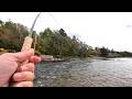 Spring Salmon Fishing - The Pendulum of Luck (Spring 2026)