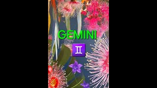 GEMINI ♊The Universe is working with you my friend, enjoy the beautiful moments. 14th- 30th April