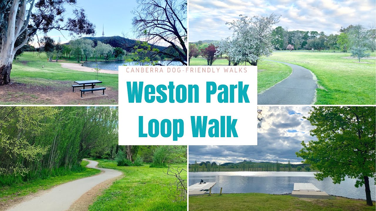 Embark on a virtual stroll around Weston Park.