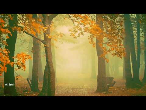 Fariborz Lachini - Autumn in My Heart